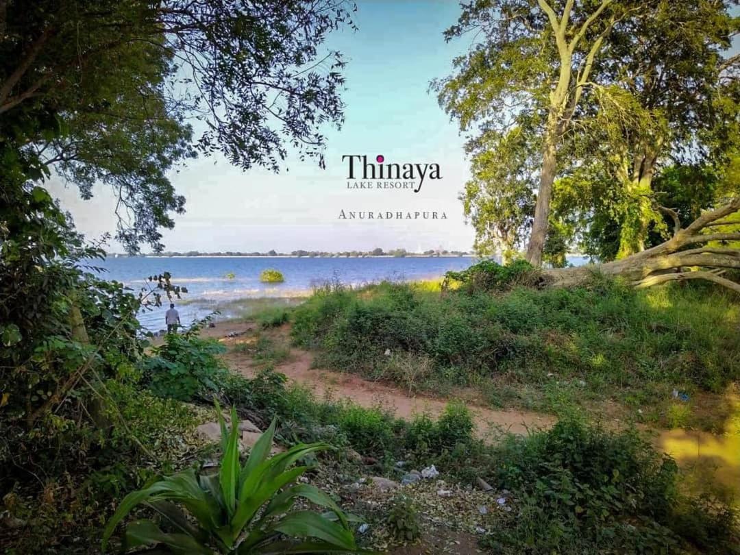 Thinaya Lake Resort Anuradhapura Eksteriør billede
